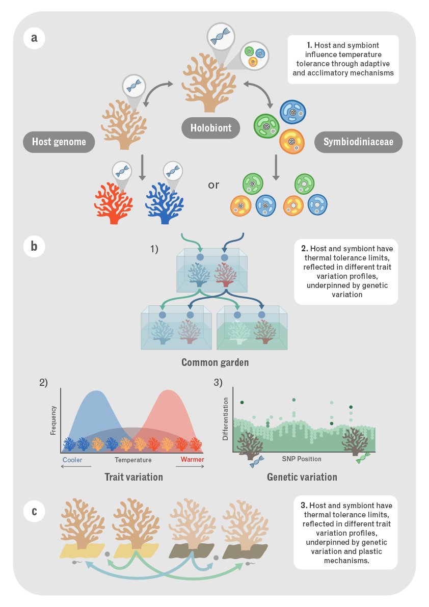 #Openaccess out today in @AnnualReviews Breeding and Selecting Corals Resilient to Global Warming @jcu @minderoo @arc_gov_au #DECRA annualreviews.org/doi/full/10.11…