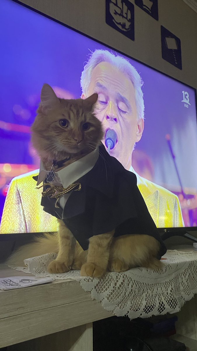 Sweett_Nane's tweet photo. Con elegancia  #Vina2024 https://t.co/WN2nhIzmi0