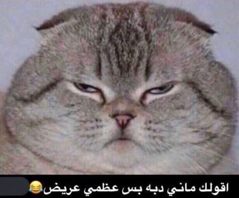 ندى (@whatuthinkp) on Twitter photo 