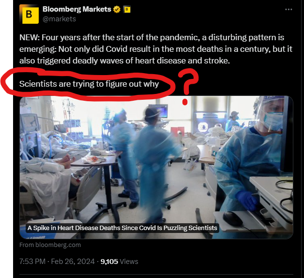 FXHedge tweet media