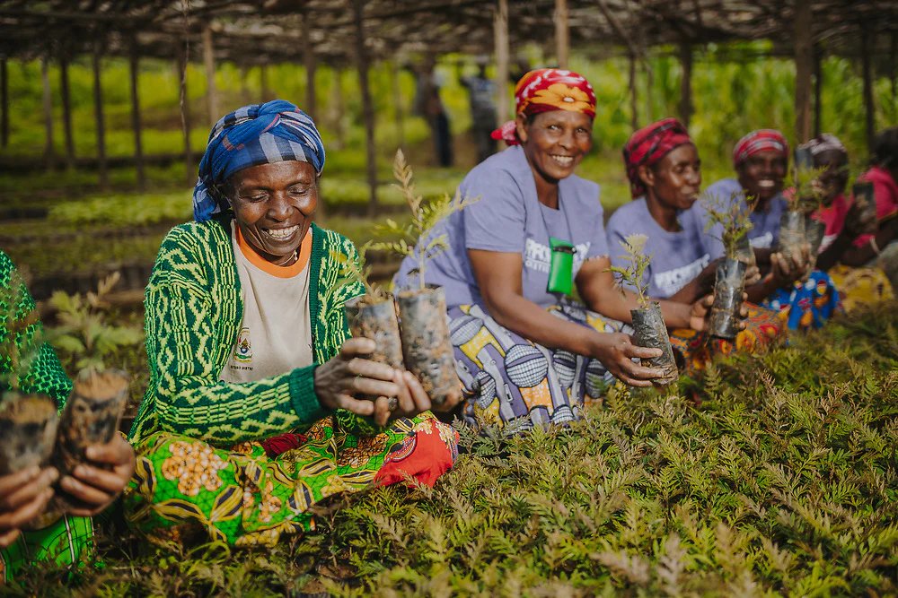 COP28 highlighted the need for #GenderResponsive climate action!  

Women are key to building a just and sustainable future.

 Let's invest in them to ensure a #JustTransition for all.
#ClimateAction #WomenEmpowerment 
 @vanessa_vash @RiseupmovtTz @AbiluTangwa