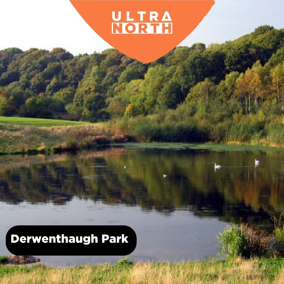 Run through Derwenthaugh Park at Ultra North🏃‍♂️ 👉 The ancient woodlands of the Derwent Valley hold a wide variety of wildlife 🐦 👉Between 2004 and 2006, 94 red kites were released into the lower Derwent Valley as part of the Northern Kites Project.