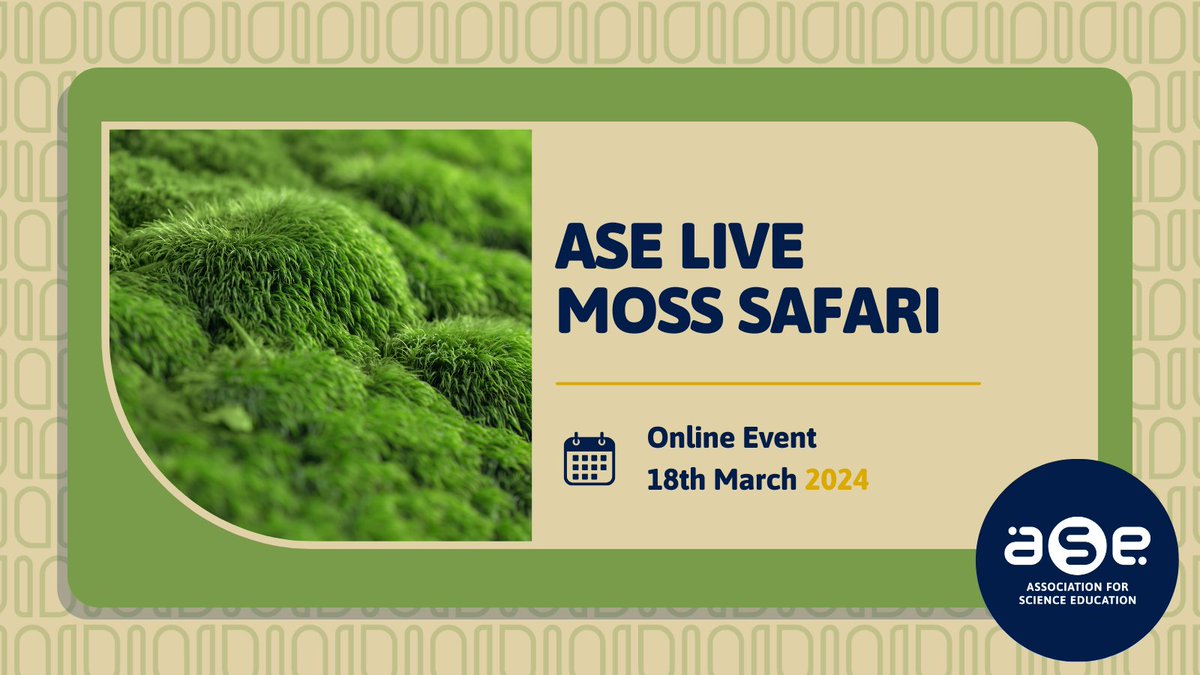 theASE's tweet photo. Moss Safari is BACK! 🔬

Gather your class around a big screen. Made specially for primary classes to watch the full version of Moss Safari LIVE.  
Be prepared to be inspired and feel equipped to do your own Moss Safari!

📅 18th March 2024
📍Online 
▶️ https://t.co/hZqqJopCY3 https://t.co/nKvUZYyIZk