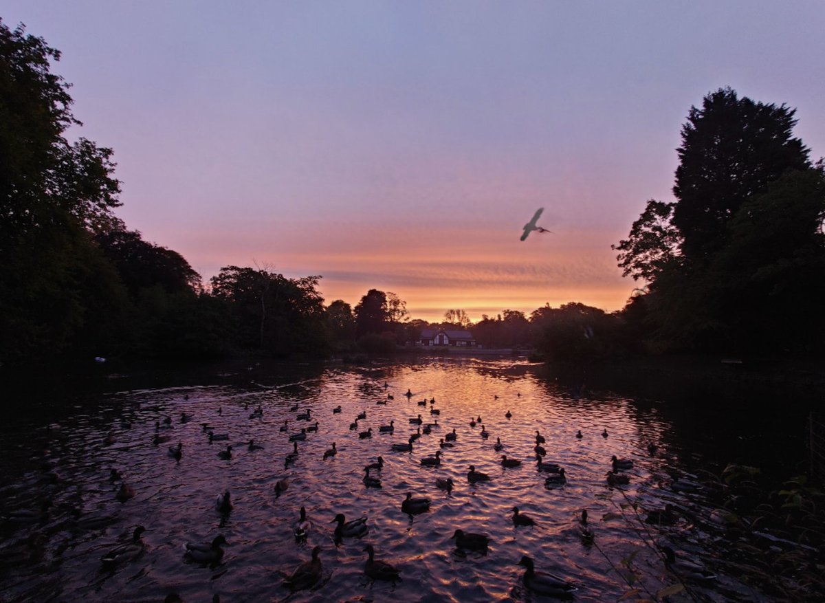 What a beautiful sunrise ❤️ <a href="/AlexParkMCR/">Alexandra Park</a> <a href="/RainorshineManc/">Manchester Weather 🐝</a> #Manchester