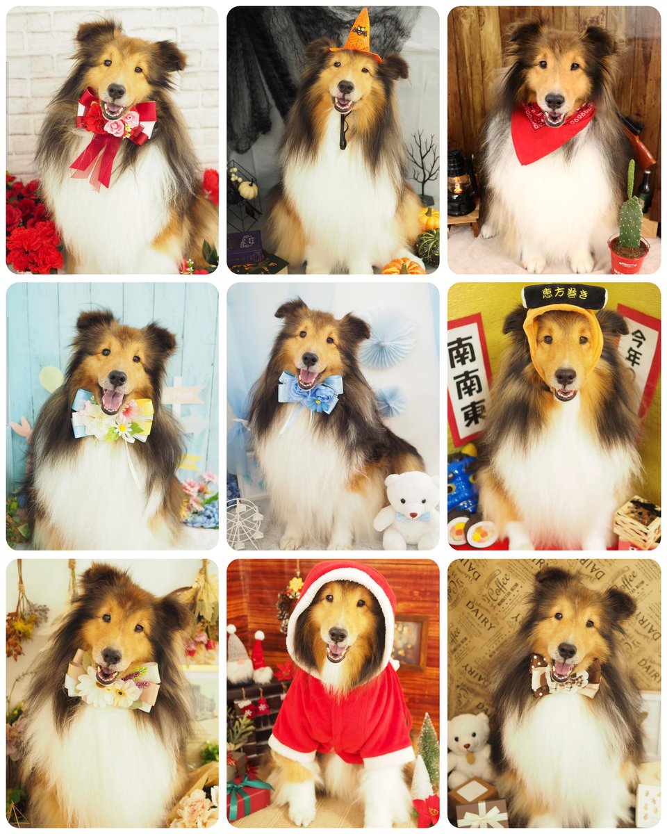 #わかりやすい展
〔シャンプー終わった後の記念写真〕

←サロンに通い始めた頃の「？？？」な顔

撮影したら終わると悟ってから→