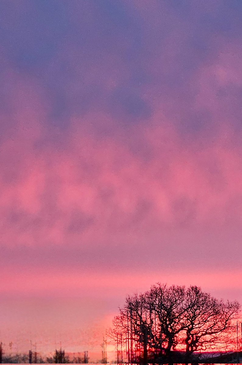 Lovely sunrise this morning ❤️ 
Midge Hall 
#sunrise #red #fire #midgehall #colour #tree #silhouette #weather #nature #landscape #photography #WeatherForecast #ukweather @metoffice @blogpreston @bbcweather @weatherchannel