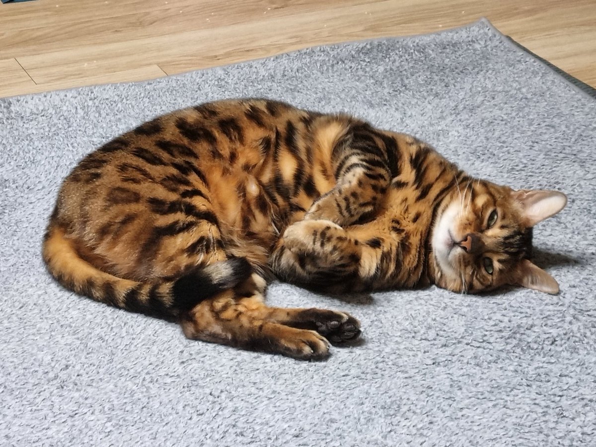 업로드가 뜸했군 그는 잘 지내고 계신답니다