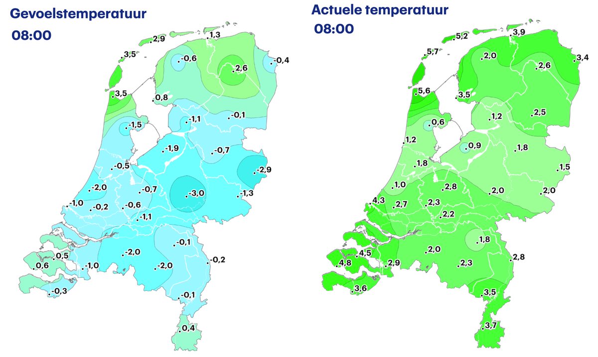 Helga van Leur ☀ tweet media