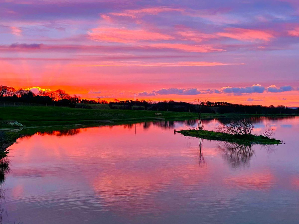 Steve Evans tweet media