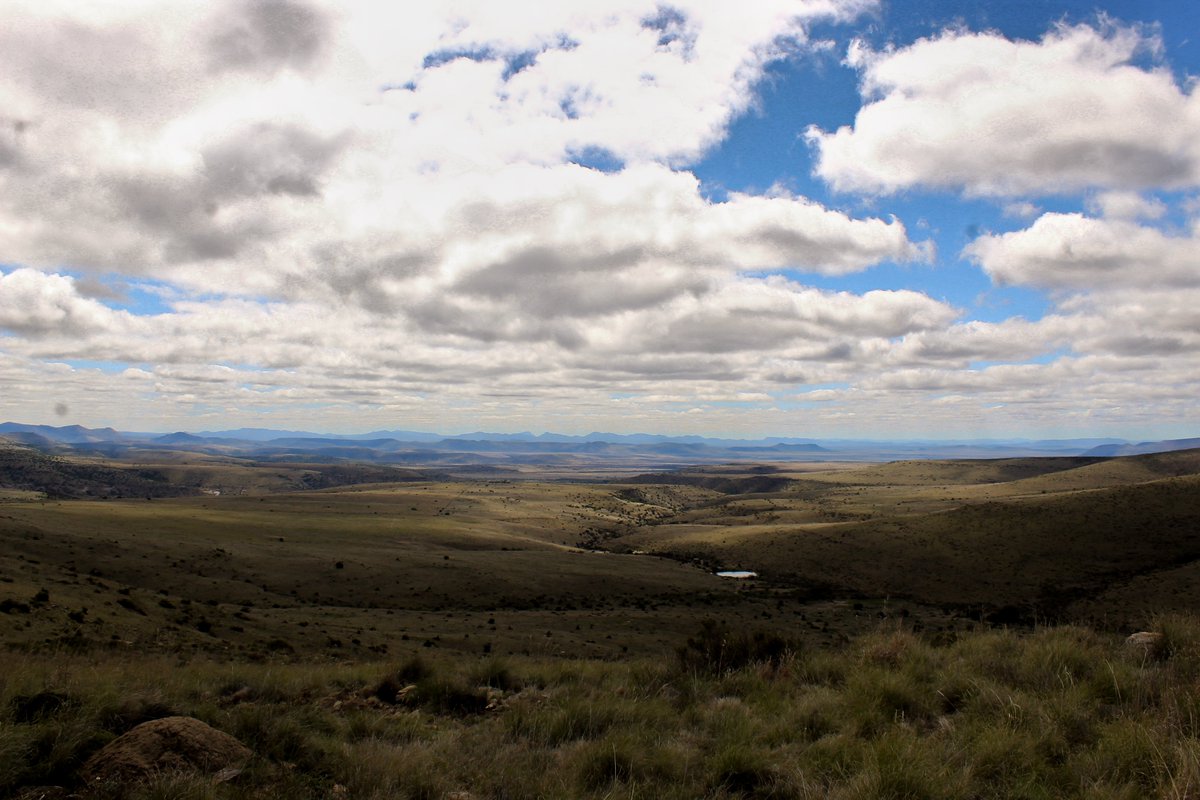 Today's Reflection:

“Do not go where the path may lead you, go instead where there is no path and leave a trail.” – Ralph Waldo Emerson

📸 Roach Photography: Mountain Zebra National Park

#thoughtoftheday #roachphotography #LiveYourWild #changetheworld #ECYours2Explore