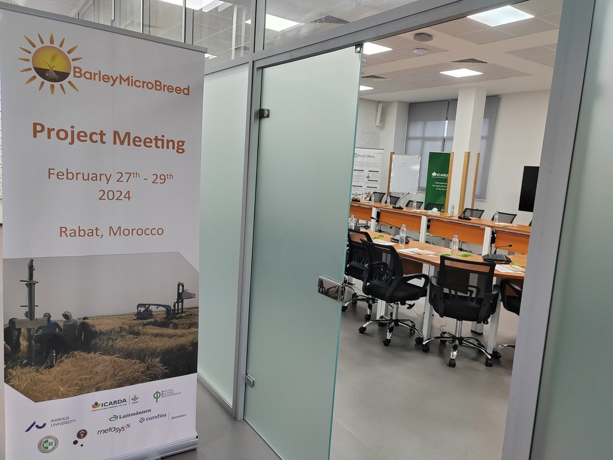 3️⃣...2️⃣...1️⃣... Here we go! The #BarleyMicroBreed Project Meeting at @ICARDA Rabat