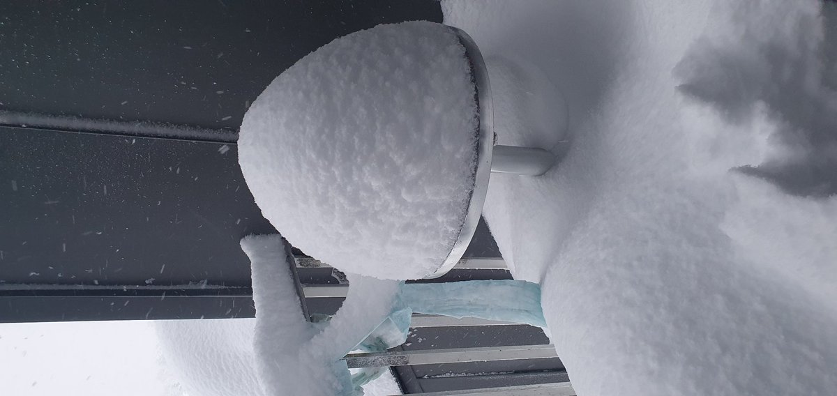 camus Harold tweet media