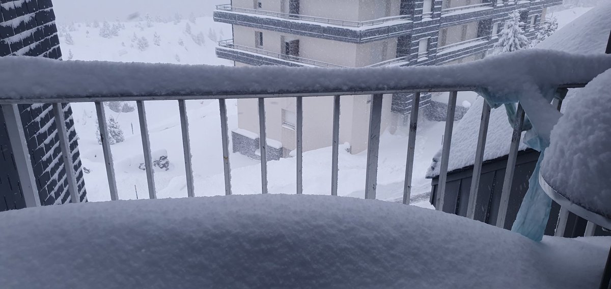 camus Harold tweet media