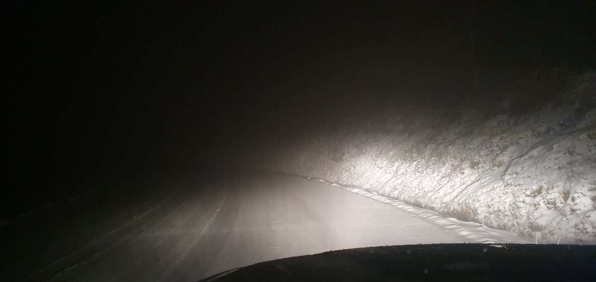 camus Harold tweet media