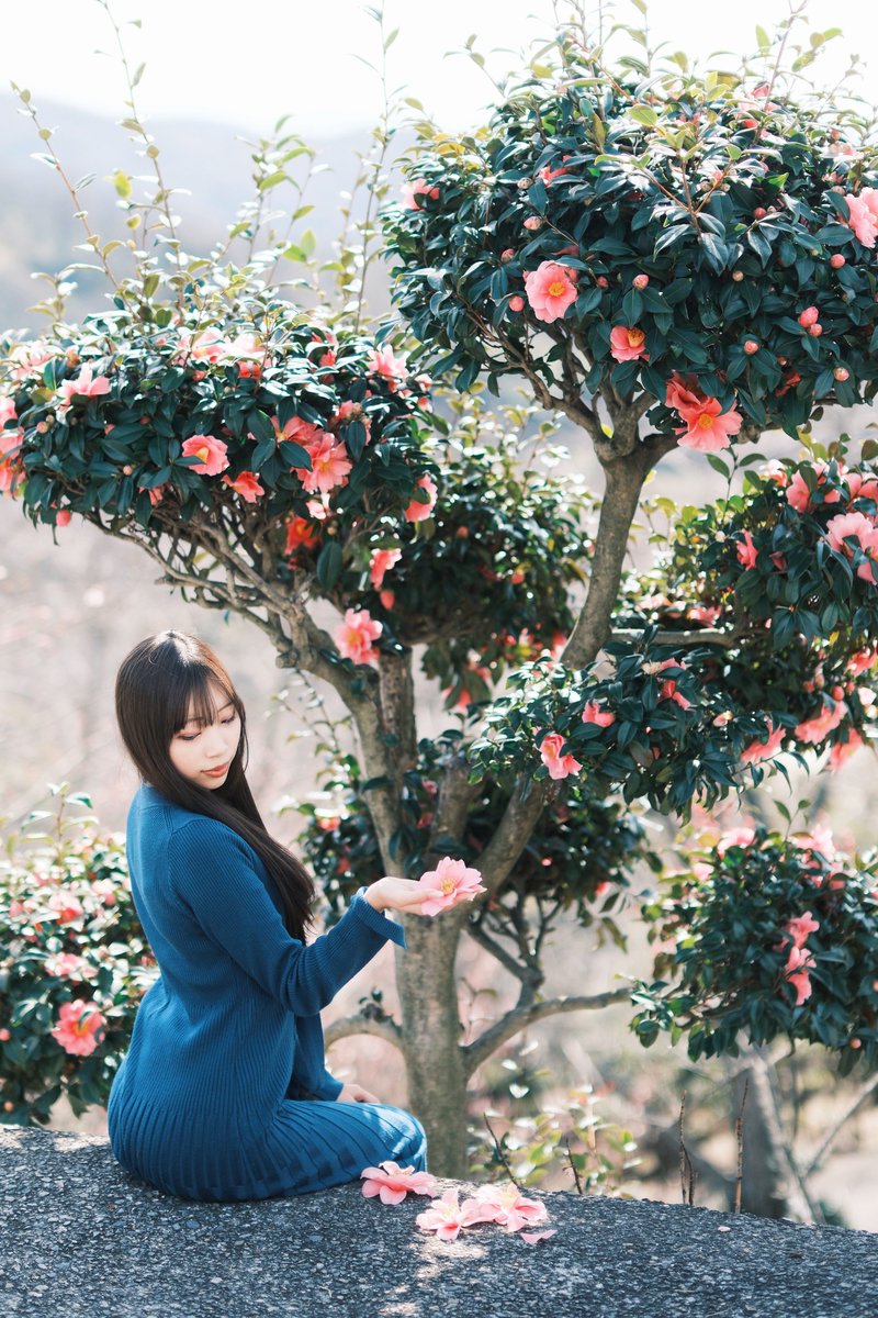 咲くも無心　散るも無心

花は嘆かず　今を生きる

#FUJIFILM好きな人と繋がりたい #岡山 #ポトレ #ポートレート #被写体 #photography #coregraphy #portrait #FUJIFILM #fujifilm_xseries #XH2 #XF50f1 #MyFujifilmLegacy