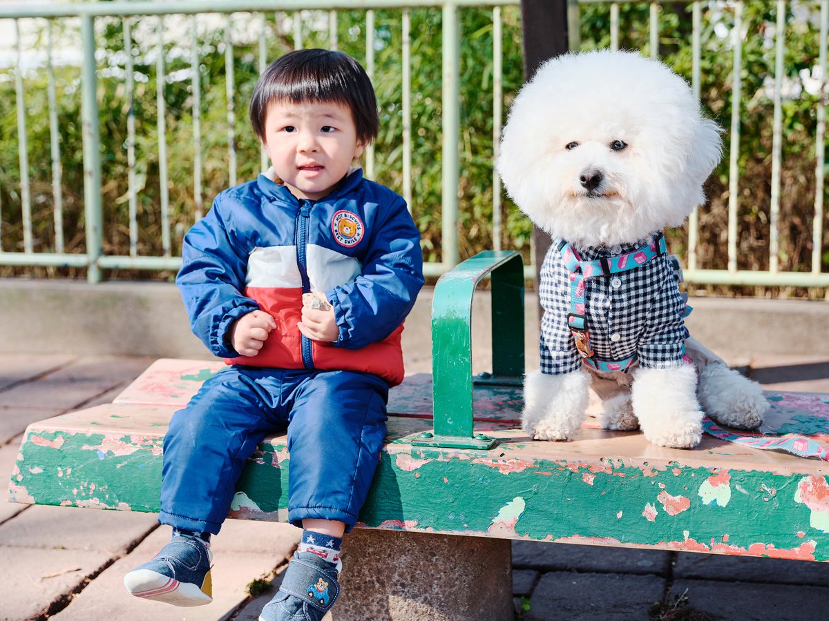 🐻‍❄️ 👦 背筋ピーンもち⭐️⭐️

📷 @new_function_insta 

 #familyphotography 
#dogphotography 
#家族写真
#兄弟写真