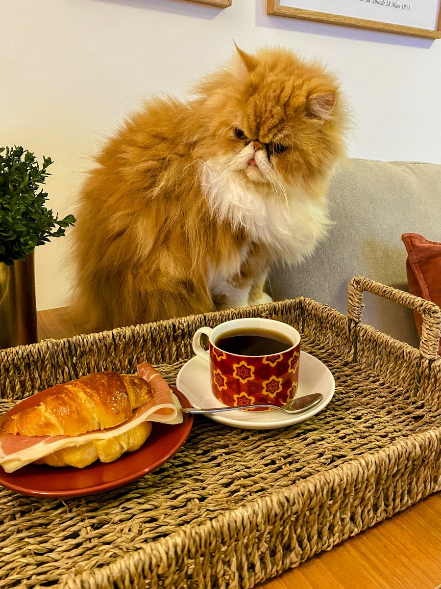 Que ricos 😋 que estaban los bizcochos 🥐<a href="/petricor1970/">Nanda - Memento Mori</a>!! Hasta Ceito los miró con cariño! 😅Totalmente recomendables!