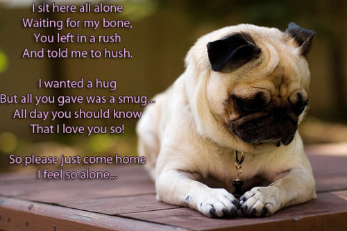 I feel so alone😥