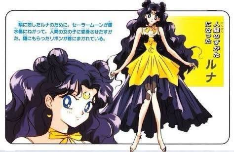 セーラームーン ルナ 人間バージョン ぬいぐるみ 20cm 美少女戦士