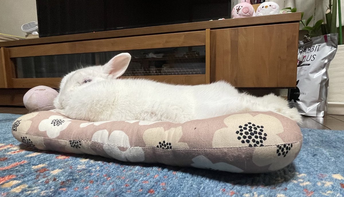 bonko_rakugaki's tweet photo. もう疲れちゃって 全然動けなくてェ…
#Part34
#ももちゃん
#うさぎと暮らす
#うさぎ好きさんと繋がりたい
#ゼルダの伝説
#コログ
#ティアキン https://t.co/TILtRyTw7i