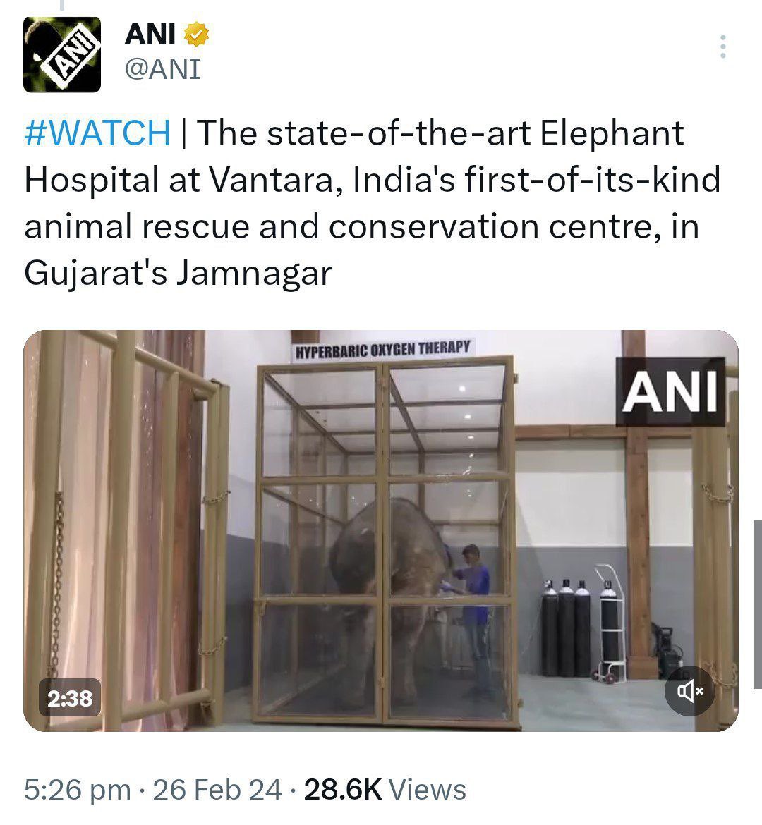 SamKhan999's tweet image. The interesting thing is that there are no Elephants in Gujarat. All the Elephants have been imported from Assam. 
#ElephantAbuse #Ambani