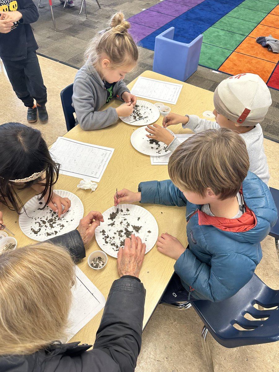 The Palo Alto Junior Museum lesson today for kinder was to recognize animal poop. Kinder students were engaged! Thank you BP families for donating to the PTA to make this happen. @barronparkbees @PaloAltoUnified @DonAustin_SUP