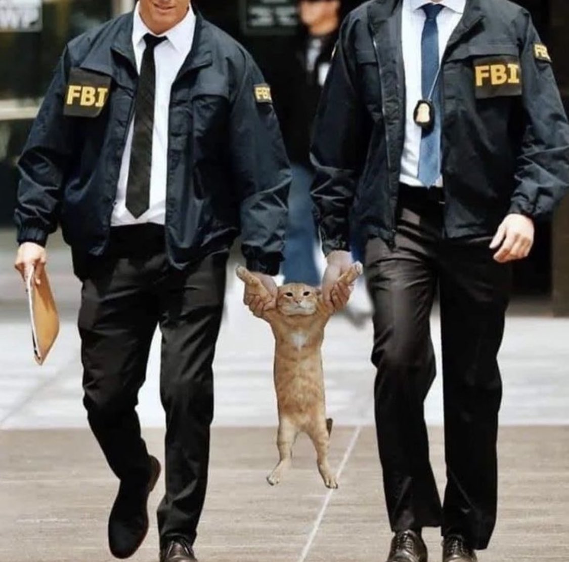 Thalia✨ (@ThaliaZuniga11)  X