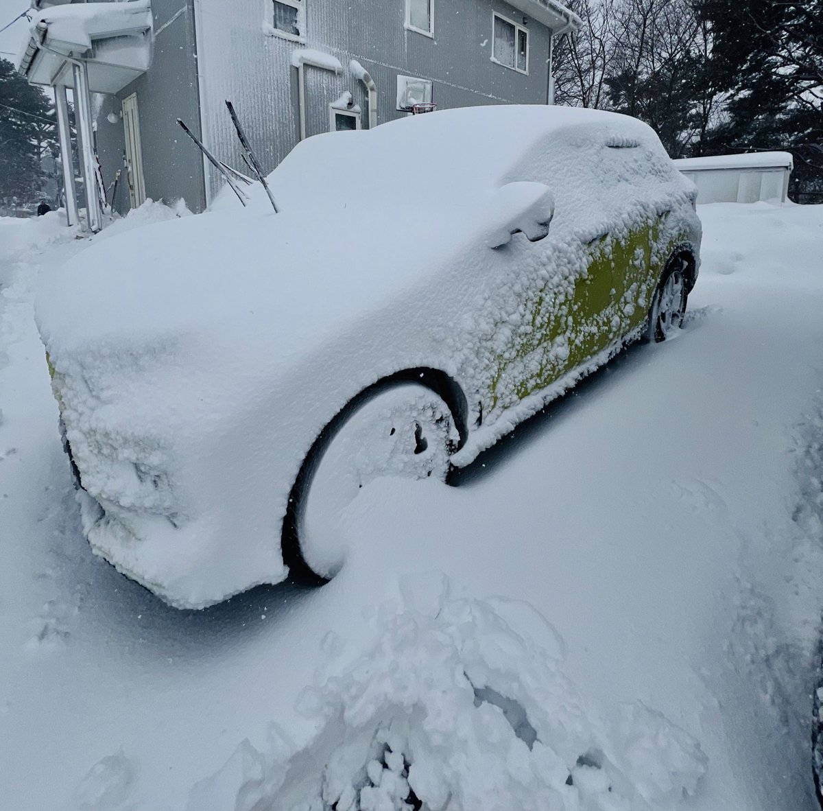 朝、１回雪かきして、
さっき11時頃
もー意味わかんないwww
