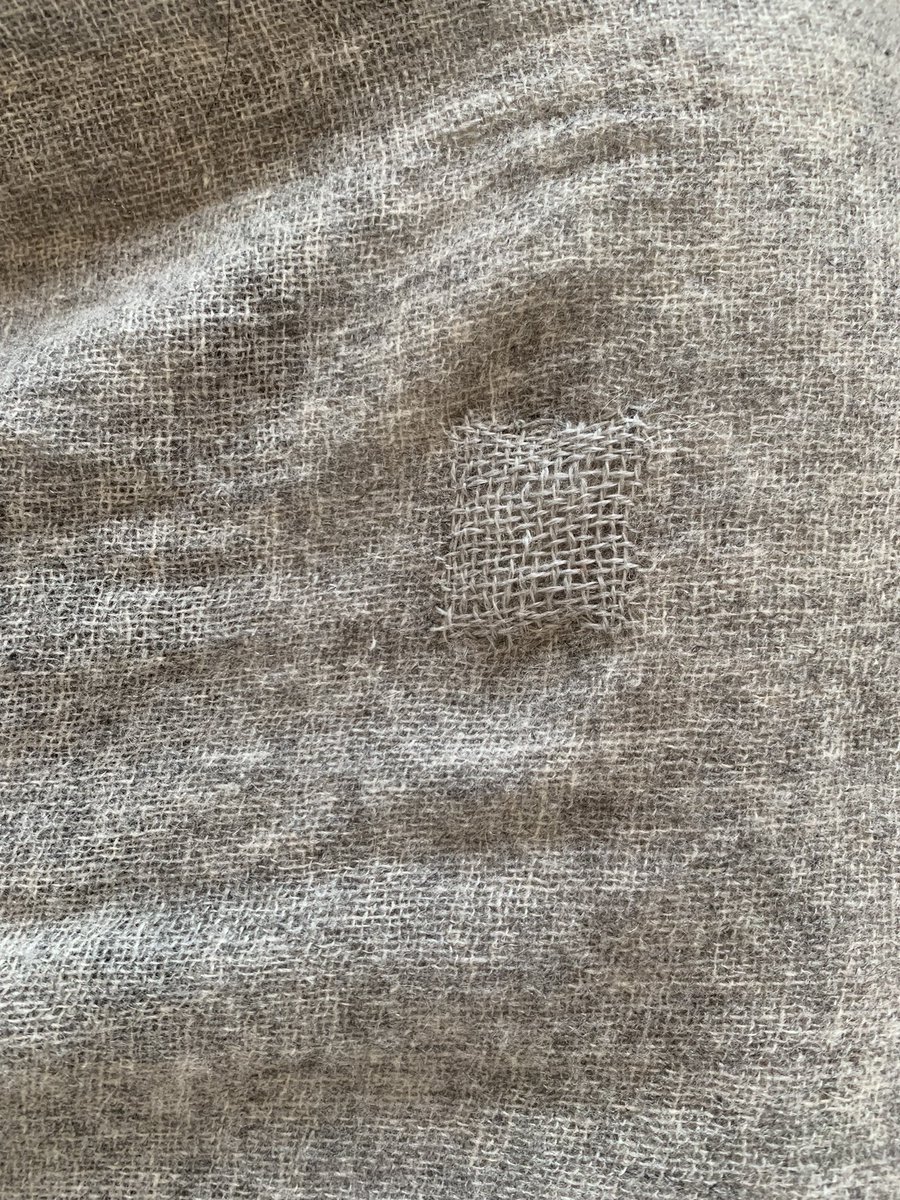 カシミヤ - Search / X