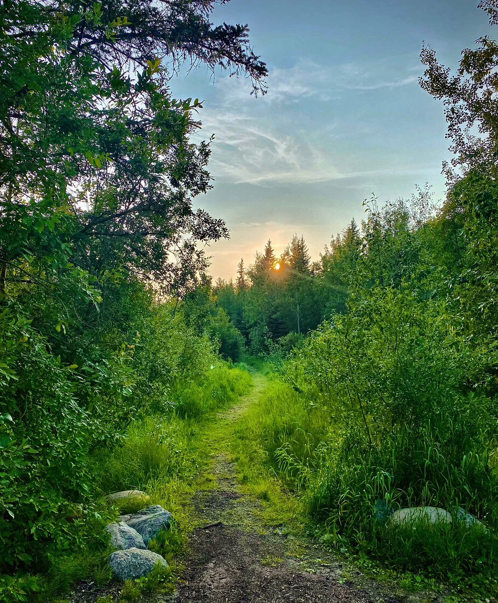 What my soul is seeking.. the warmth of Spring and a beautiful new path to trek! #nature_lovers #nature_perfection #nature_brilliance #natureza #explore #outdoors