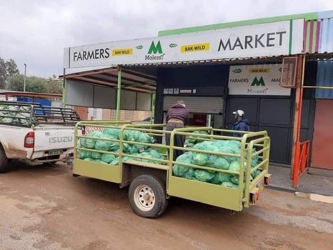 Agric_young's tweet photo. Mo Molemi is operating in the whole #agricultural value chain. He owns the #farm, he owns the products &amp; he owns the farmer's market. This is what we need in order to build a thriving black economy. Take notes &amp; learn from this leader.
#agriculture #farming #agribusiness #farmers https://t.co/IkCi1XQZDA