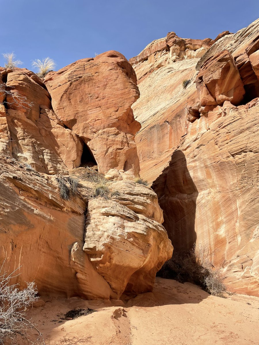 After birthday slot canyon cross country hike with the folks!