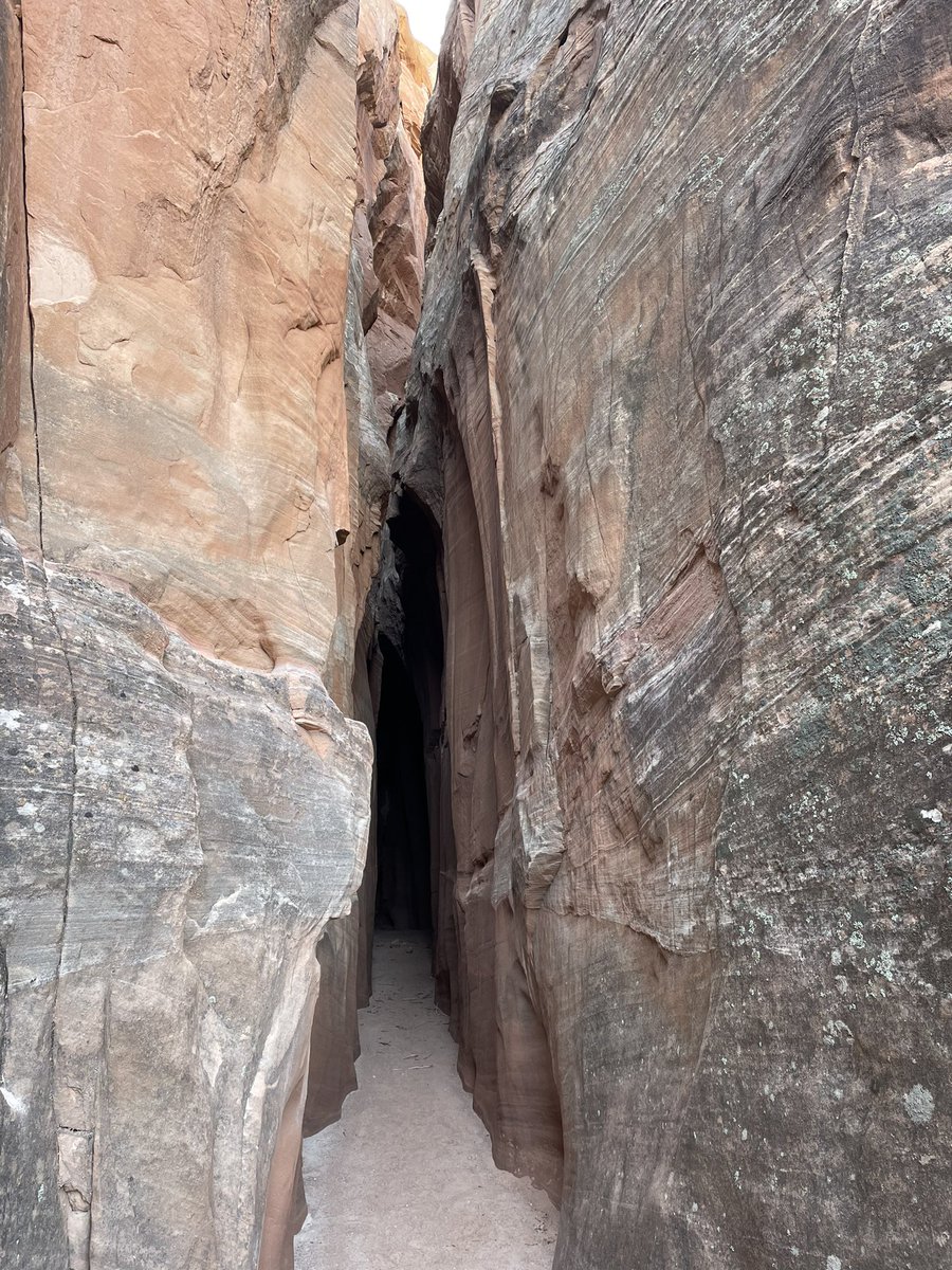 ❤️ Tea the demon🍵😈VTUBER (indefinite haitus) tweet media