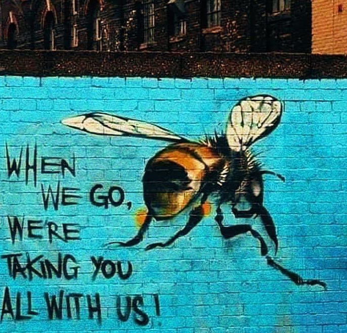 Please retweet if you think there should be a worldwide ban on harmful pesticides, mainly neonicotinoids that are 'just' 7,797 times more toxic than the 'simple' DDT was, to save the bees and the soils. 😡 #SaveTheBees 🐝 change.org/SaveTheBees