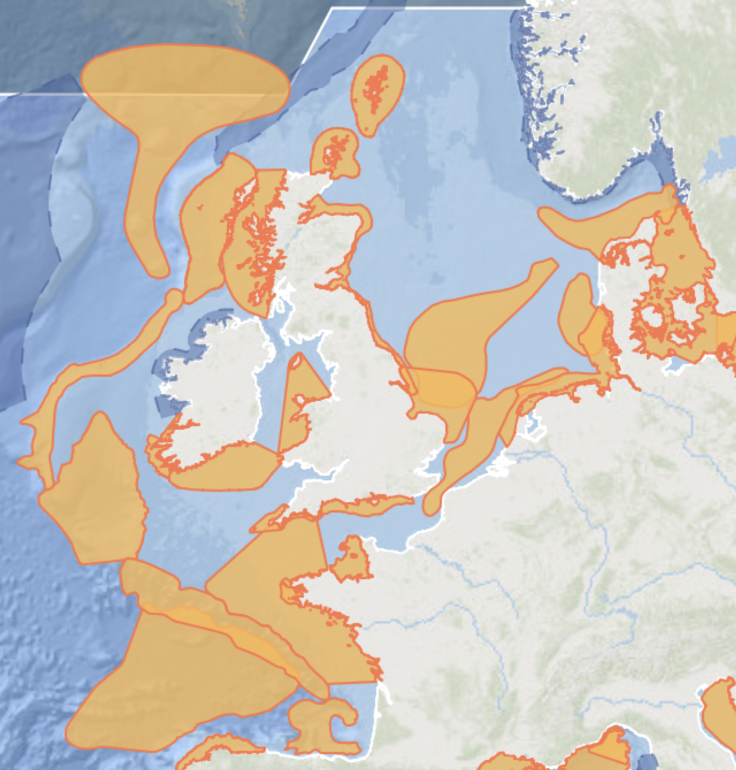 ErichHoyt's tweet photo. The new & expanded IMMA e-Atlas arrives today with 33 new Important Marine Mammal Areas (IMMAs) from the NE Atlantic Ocean & Baltic Sea. The IMMA tool aims to give #whales, #dolphins, #seals & other marine mammals a seat at the table to argue for protection of their ocean homes. Have a look: https://t.co/GGVrZJYgKY
News story here: https://t.co/FbFqBLXjOZ
Photos: Common dolphin, https://t.co/tU5dLd2PiT; long-finned pilot whale, Patrick Lyne (IWDG); Risso's dolphins, Karin L. Hartman. @mmpatf @whalesorg @whalesorg_de @marinemammalogy @MarineMammalCom @EuroCetSoc @CetaceanSociety @IWDGnews @_SMRU_ @SeaWatchersUK @GillBraulik @DolphinCentreUK @nicola_hodgins @dolmansarahj
