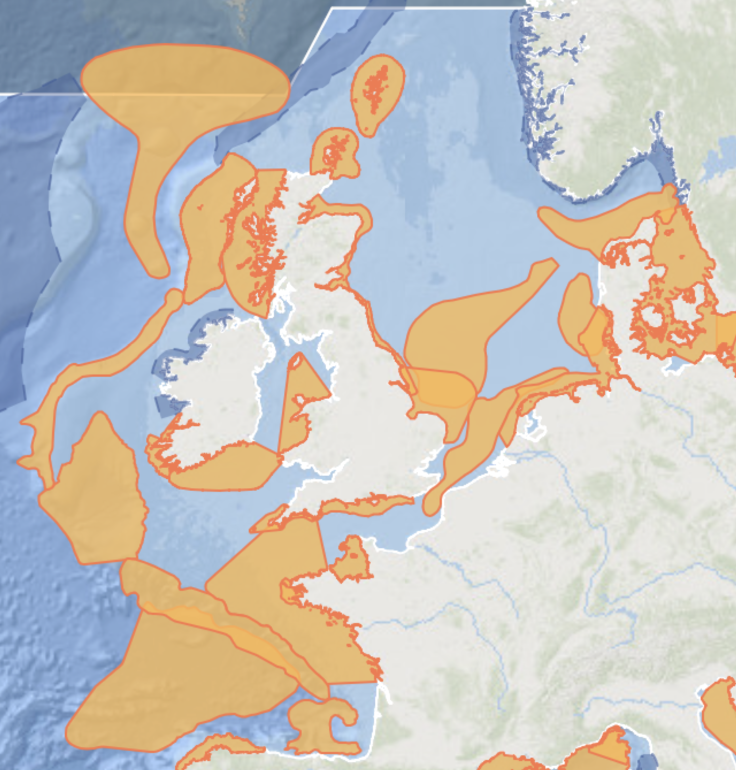 The new & expanded IMMA e-Atlas arrives today with 33 new Important Marine Mammal Areas (IMMAs) from the NE Atlantic Ocean & Baltic Sea. The IMMA tool aims to give #whales, #dolphins, #seals & other marine mammals a seat at the table to argue for protection of their ocean homes.