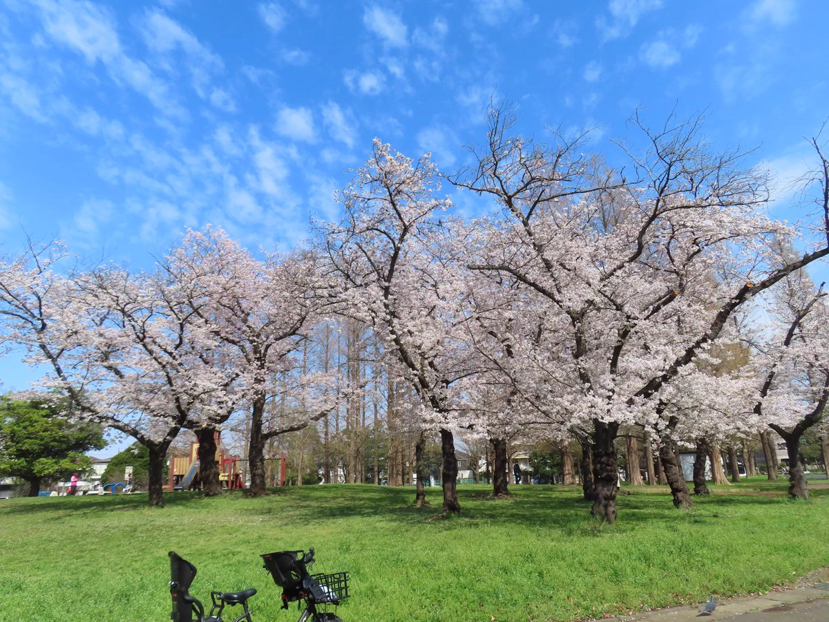 江戸川 区 西 篠崎