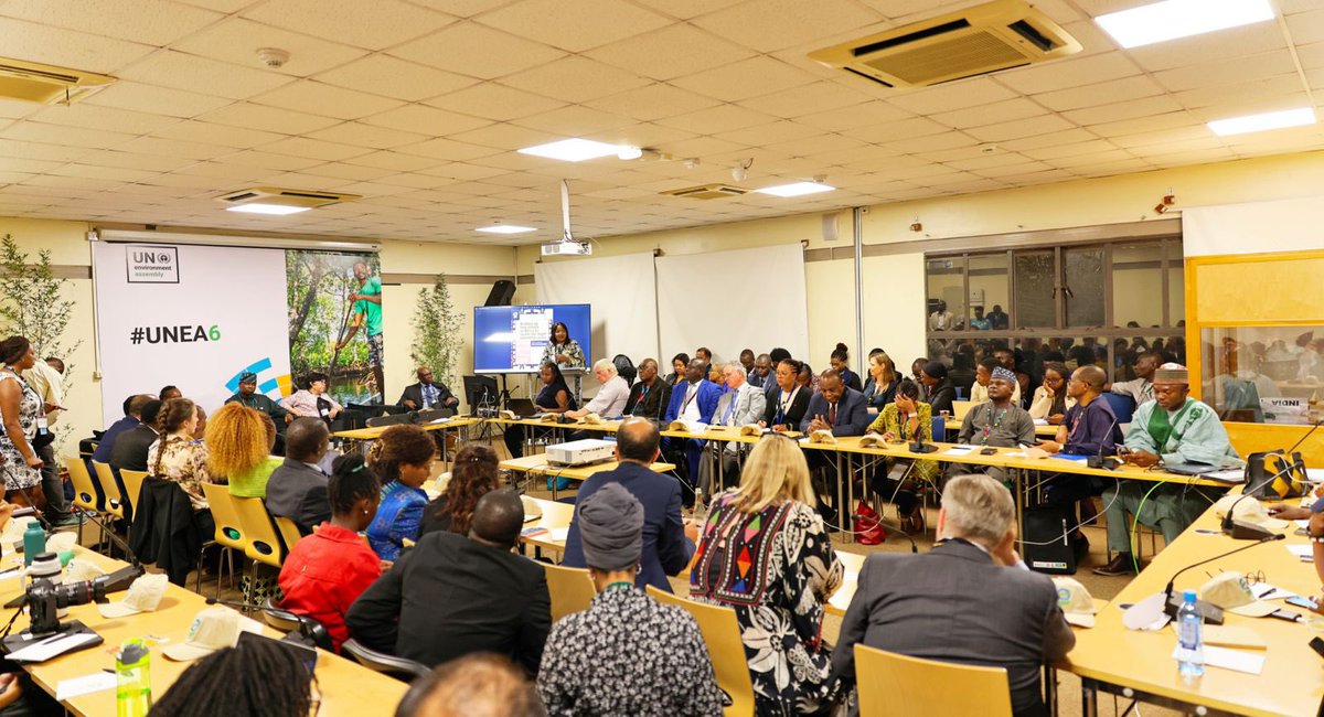 In the wake of Africa’s major environmental challenges, i.e. land degradation and drought @GEF and @UNEPAfrica convened to discuss several UN -driven MEAs which target a better integration to support the aims of Agenda 2063 in achieving The Africa We Want. #UNEA6