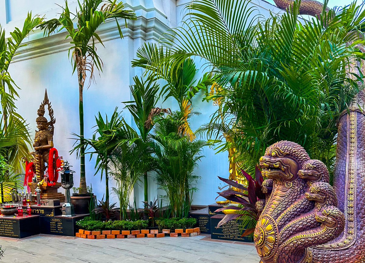 GM everyone 

Wish you a great day!