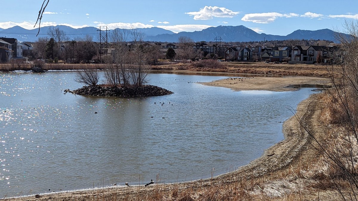 It's an odd time of year for the drainage ponds known as lakes including our local, #heclalake they've not had the spring runoff but are not supplying water to the farms. I don't remember Hecla ever being this dry though.
