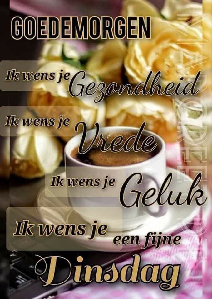 bog53's tweet photo. @de_beyn Een hele fijne dinsdag Staf geniet van jou dag met veel liefde geluk en vreugde 👍👍👍je handen goed vol zou ik zeggen 👍👍👍🤣🤣🤣 https://t.co/eZE2IDEhiC