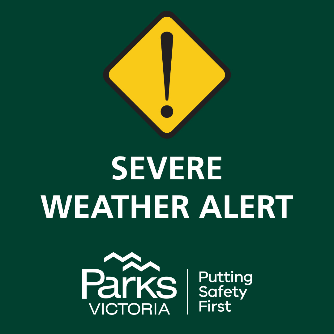 Wed 28 Feb 2024: PARK CLOSURES

All parks in the Wimmera Fire Weather District will be closed for public safety.

Many parks in Central, Mallee, North Central, Northern Country, and South West Fire Weather Districts will also be closed.

Plan ahead brnw.ch/21wHlKI