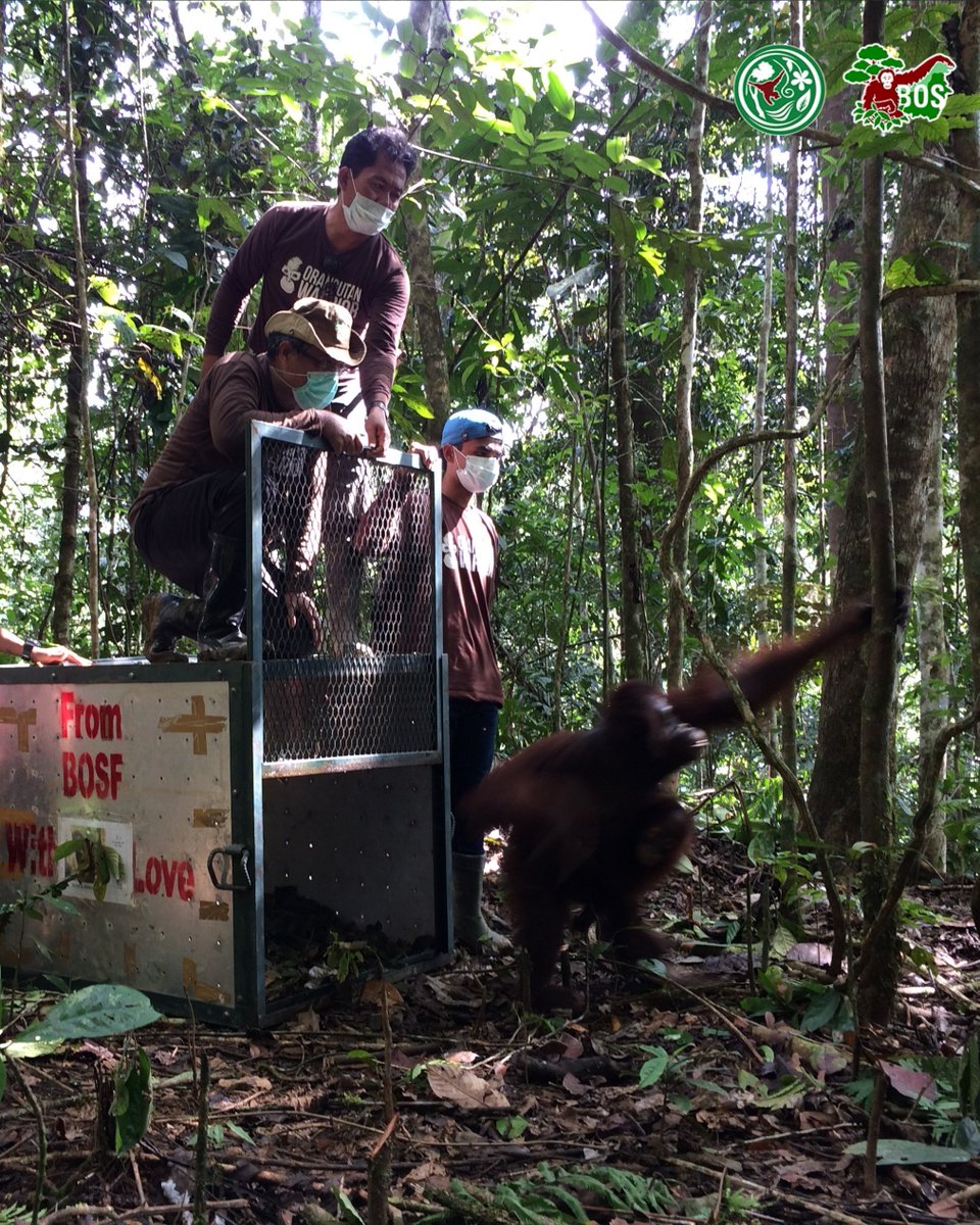 bornean_OU's tweet image. #OpenRecruitment Unlock opportunities to join our team!

Explore the excitement of our team through captivating photos, and envision yourself being part of these thrilling moments. Who knows, these could be the snapshots of your journey with us!