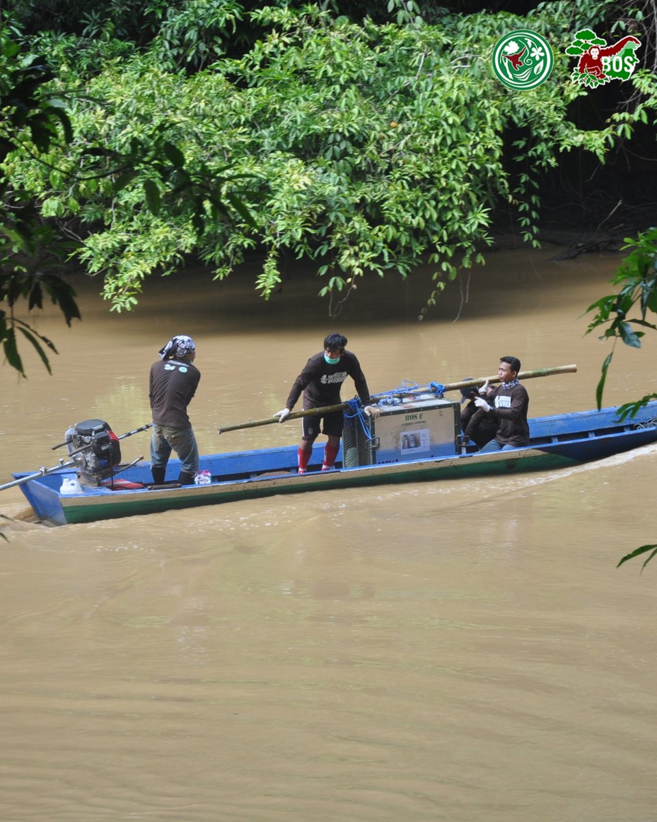 bornean_OU's tweet image. #OpenRecruitment Unlock opportunities to join our team!

Explore the excitement of our team through captivating photos, and envision yourself being part of these thrilling moments. Who knows, these could be the snapshots of your journey with us!