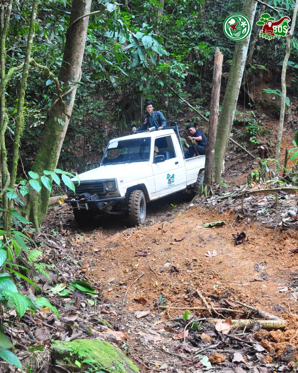 bornean_OU's tweet image. #OpenRecruitment Unlock opportunities to join our team!

Explore the excitement of our team through captivating photos, and envision yourself being part of these thrilling moments. Who knows, these could be the snapshots of your journey with us!