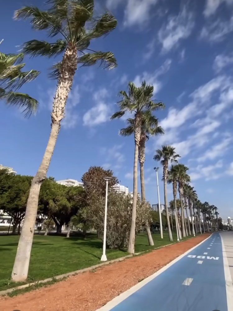 ~ Mersin’den Günaydın 🙋‍♂️