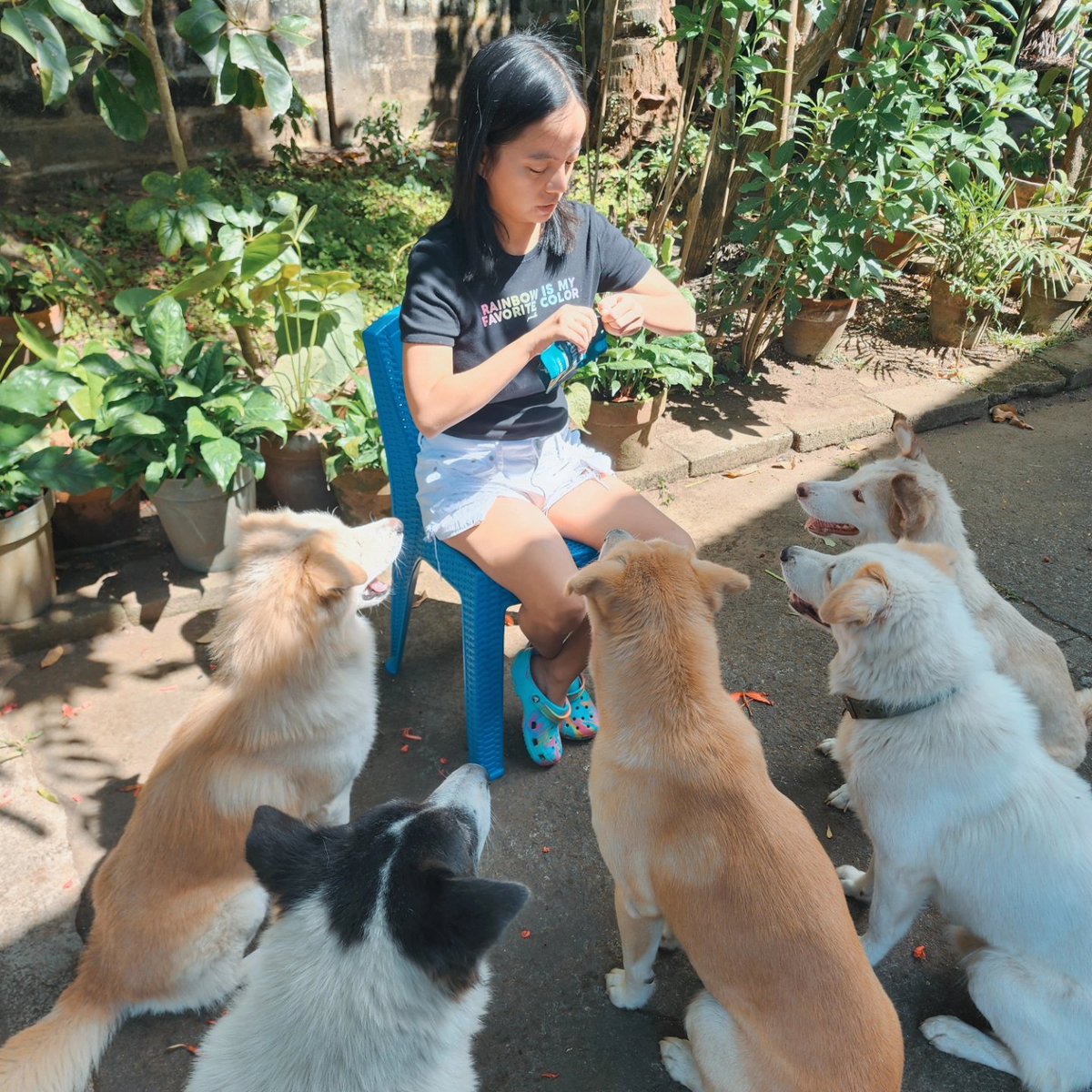 awesamdiary's tweet photo. Say goodbye to tummy troubles with Dr. Shiba Happy Tummy Beef Dog Treats! 🐾 Ease digestion, nurture gut health, and boost nutrient absorption for a happier, healthier pup. Treat them right! 🐶💖
🛒 https://t.co/nLRAP8s75P
#aweSAMdiary #HappyTummy #DogTreat #bydrshiba #drshiba https://t.co/kWIF5DBxzY