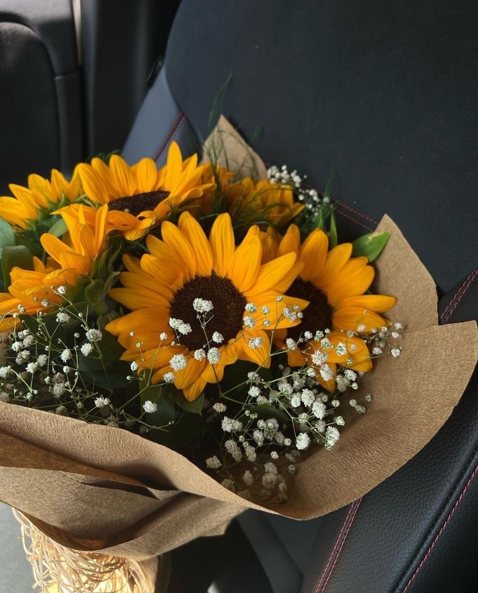 sunflowerchives's tweet image. Drop your favorite 🌻