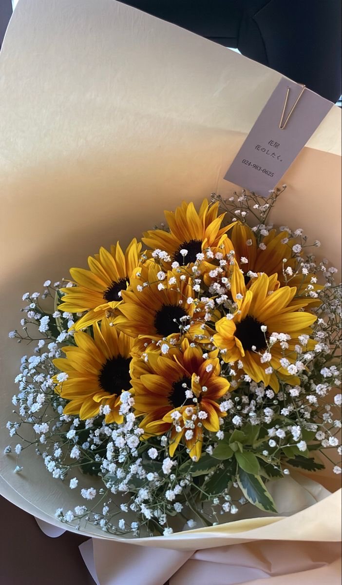 sunflowerchives's tweet image. Drop your favorite 🌻