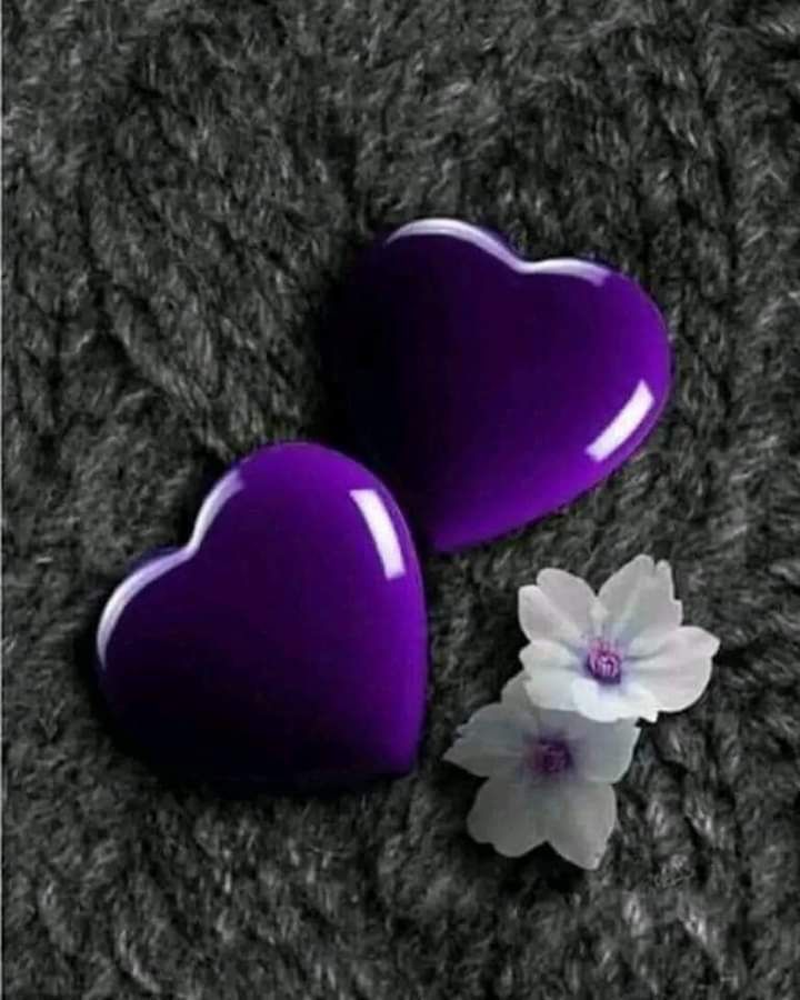 سفير (@ddbzvv7442) on Twitter photo 